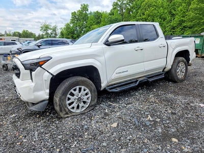 3TYLB5JN1RT****** 2024 Toyota Tacoma