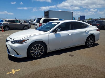 JTHB21B17K2****** 2019 Lexus ES