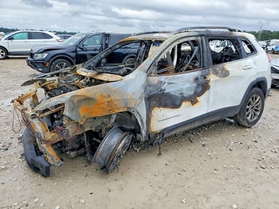 1C4PJLLB5LD****** 2020 Jeep Cherokee