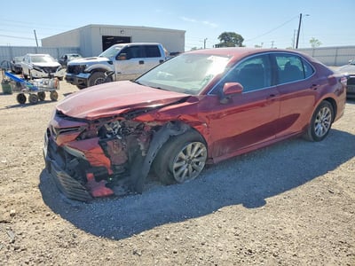 4T1B11HKXKU****** 2019 Toyota Camry