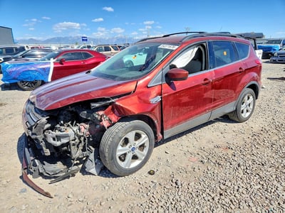 1FMCU0GX5EU****** 2014 Ford Escape