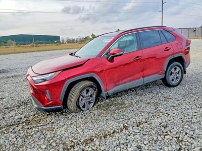 2T3RWRFV6RW****** 2024 Toyota RAV4