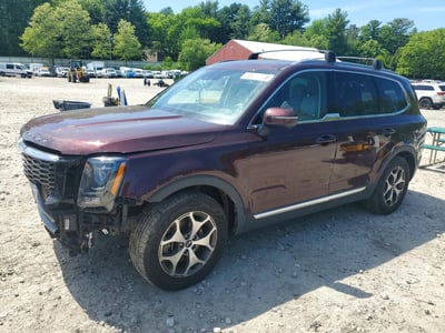 5XYP3DHC0LG****** 2020 Kia Telluride