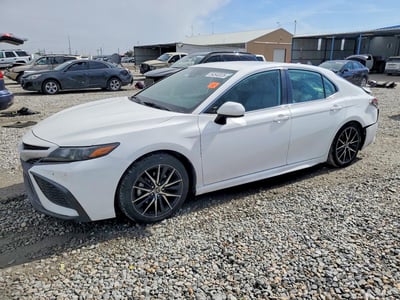 4T1G11AKXMU****** 2021 Toyota Camry