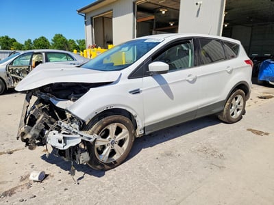 1FMCU0GX0EU****** 2014 Ford Escape