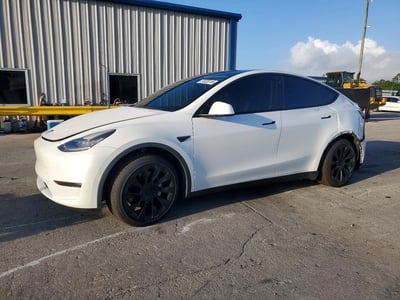 5YJYGDED6MF****** 2021 Tesla Model Y