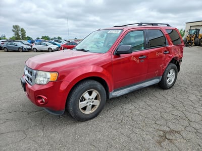1FMCU0D72BK****** 2011 Ford Escape