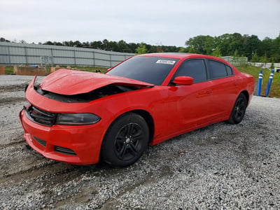 2C3CDXBG9KH****** 2019 Dodge Charger