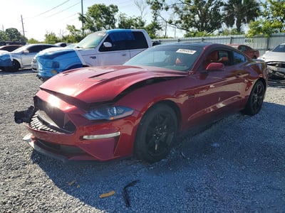 1FA6P8CF1K5****** 2019 Ford Mustang