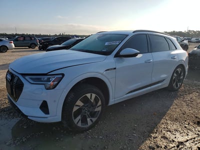 WA1AAAGE6NB****** 2022 Audi E-tron