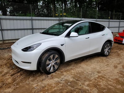 7SAYGDEE0PF****** 2023 Tesla Model Y