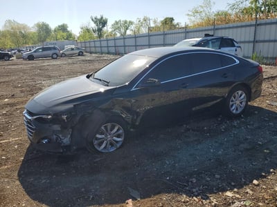 1G1ZD5ST7RF****** 2024 Chevrolet Malibu