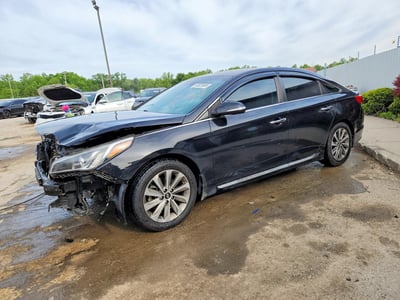 5NPE34AF4GH****** 2016 Hyundai Sonata