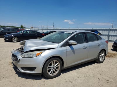 1FADP3F2XGL****** 2016 Ford Focus