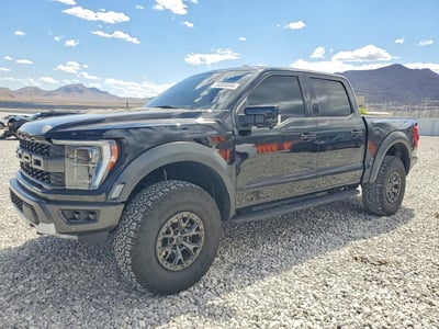 1FTFW1RG3MF****** 2021 Ford F-150