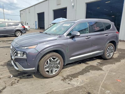 KM8S6DA29NU****** 2022 Hyundai Santa Fe
