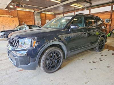 2025 Kia Telluride