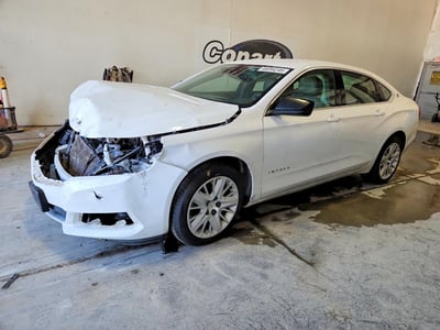1G11X5S30KU****** 2019 Chevrolet Impala