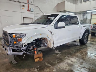 1FTFW1RG1KF****** 2019 Ford F-150