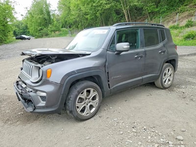ZACNJBD16LP****** 2020 Jeep Renegade