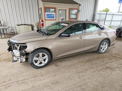 1G1ZB5STXNF****** 2022 Chevrolet Malibu