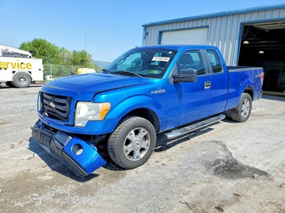1FTRX12W49K****** 2009 Ford F-150