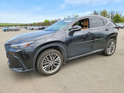 2022 Lexus NX