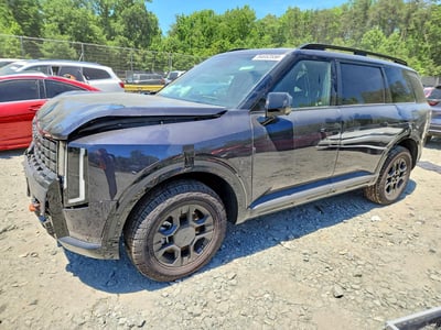 5XYPLES18VG****** 2027 Kia Telluride