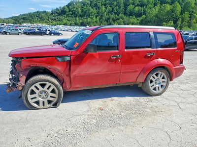1D4PU4GK0BW****** 2011 Dodge Nitro