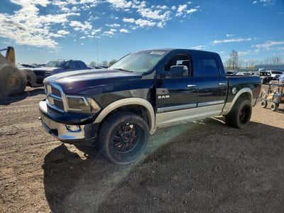 2010 Dodge Ram Pickup