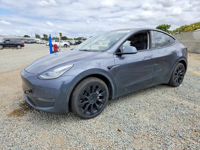 5YJYGDEEXMF****** 2021 Tesla Model Y