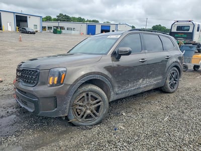 5XYP3DGC4RG****** 2024 Kia Telluride