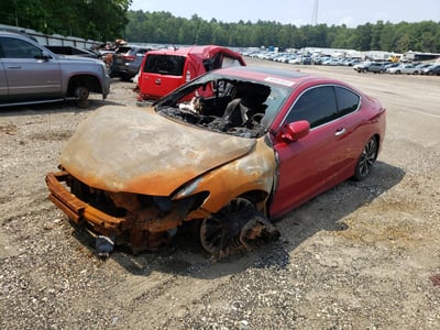 1HGCT2B84HA****** 2017 Honda Accord