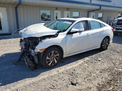 2HGFC2F74JH****** 2018 Honda Civic