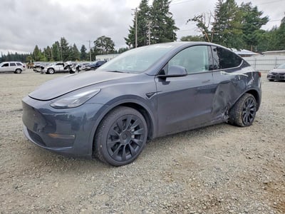 7SAYGDEE5SF****** 2025 Tesla Model Y