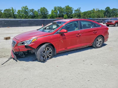 5NPE24AF8HH****** 2017 Hyundai Sonata