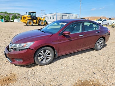 1HGCR2F33FA****** 2015 Honda Accord