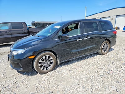5FNRL6H62RB****** 2024 Honda Odyssey