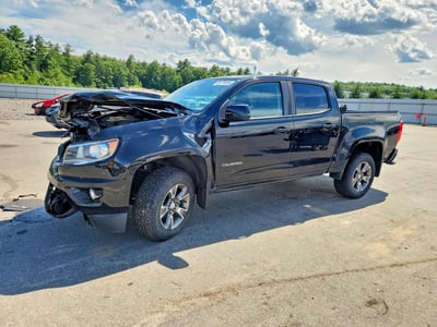 1GCGTDEN3K1****** 2019 Chevrolet Colorado