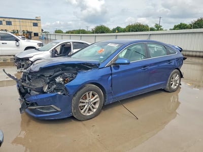 5NPE24AF0GH****** 2016 Hyundai Sonata