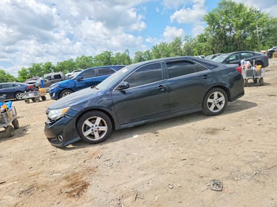 4T1BF1FK7DU****** 2013 Toyota Camry