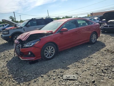 5NPE24AF9KH****** 2019 Hyundai Sonata
