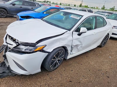 4T1G11AK1LU****** 2020 Toyota Camry