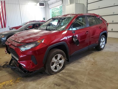 JTMLWRFV3KD****** 2019 Toyota RAV4