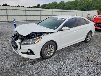 5NPE24AF4KH****** 2019 Hyundai Sonata