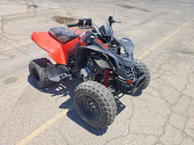 RFGUB2514NS****** 2022 Can-Am ATV DS 250-4ST 250 RD 22
