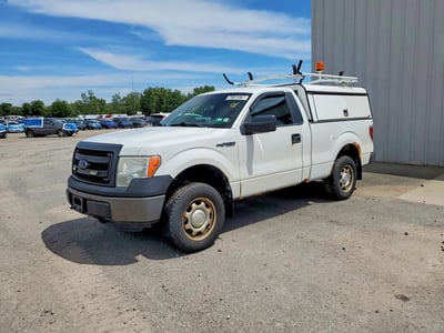 1FTMF1EM1DF****** 2013 Ford F-150