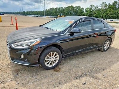 5NPE24AF2KH****** 2019 Hyundai Sonata