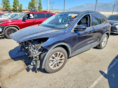 1FMCU0G60MU****** 2021 Ford Escape