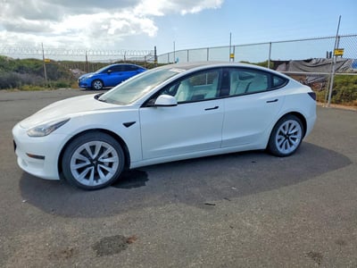 5YJ3E1EA6PF****** 2023 Tesla Model 3